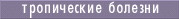 tropic.gif (1047 bytes)
