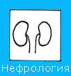 Нефрология, почки