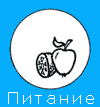Рецепты